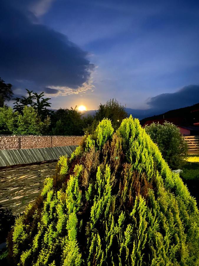 Casa Chira Hotel Vişeu de Sus Exterior foto