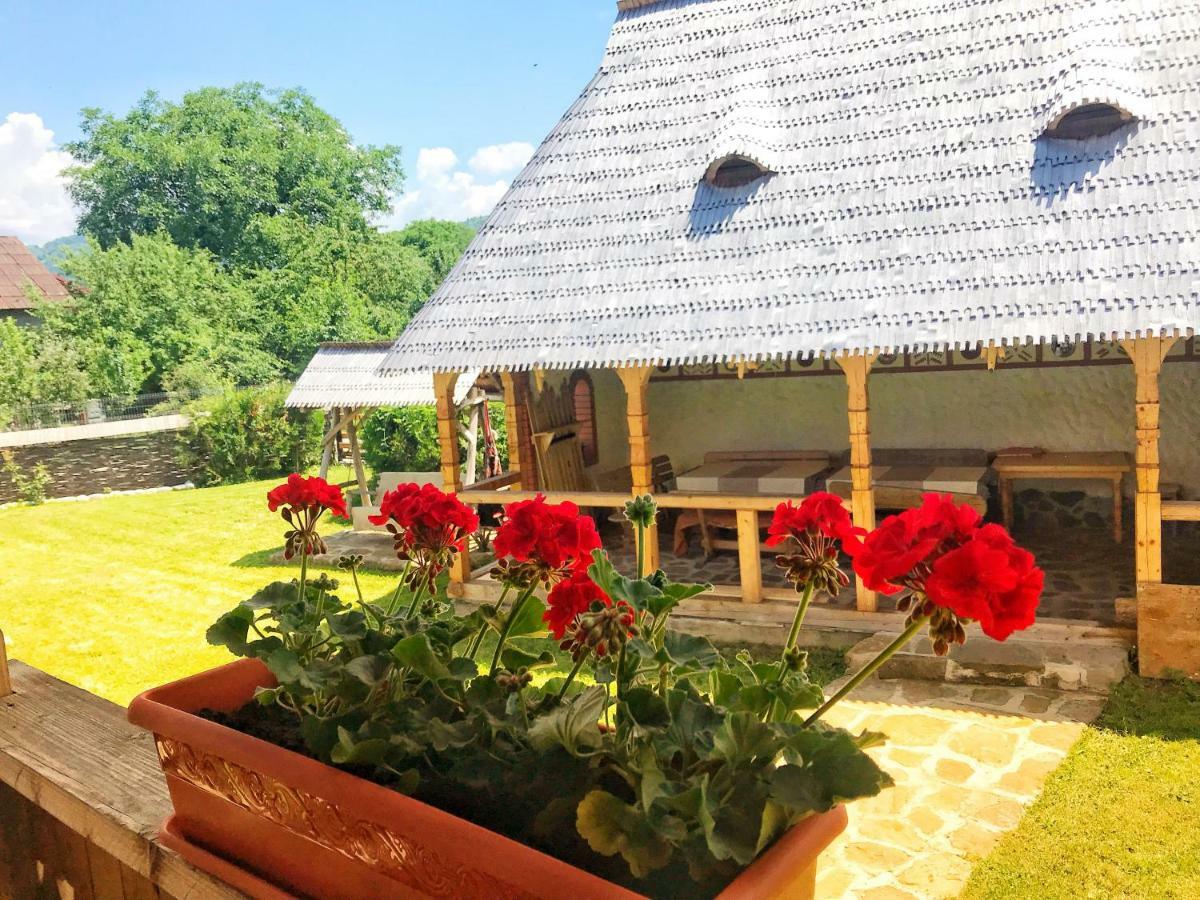 Casa Chira Hotel Vişeu de Sus Exterior foto
